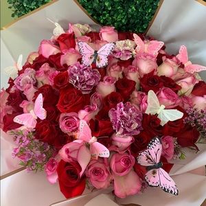 Meet your Posher, Sonia